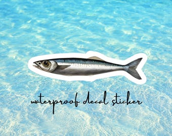 Sardine Fish Vinyl Decals, sardine decal, sardine sticker, Water Bottle Stickers, Gift for Fisherman, phone case sticker, fishing decal