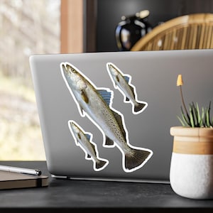 Seatrout Kiss-Cut Vinyl Decal Sticker, Sea Trout and Speckled Trout Fishing Decor, Outdoor Adventure Decal, Fishing Enthusiast