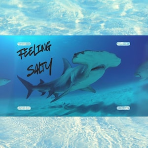 Vanity plate, gevoel zout nummerplaat oceaanliefhebbers, cadeau nieuwe auto, kentekenplaat haai, kentekenplaat strandliefhebber, bootijdelheidsplaat, nieuwe vrachtwagen