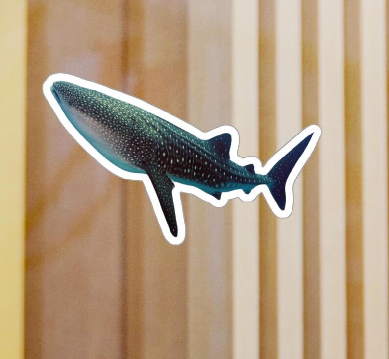 CK20495# Die-cut Vinyl Decal Shark Car Sticker Waterproof Auto Decors On Car Body Bumper Rear Window