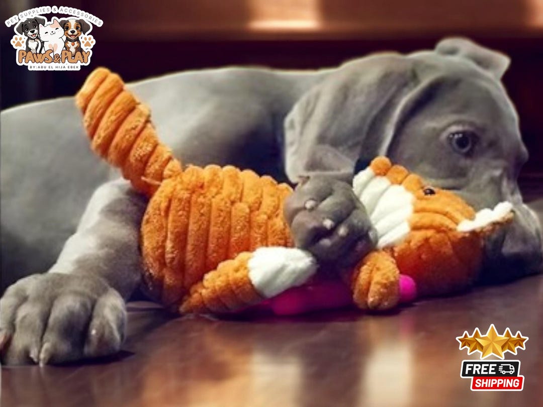 エシカルドア フィーダー フライング STANDARD PETGEEK インタラクティブ犬の骨のおもちゃ、自動犬の追跡玩具、 ぬいぐるみ 犬 きしむ骨 おもちゃセット 小型犬用 ペットギフト バレンタインデー