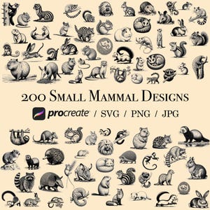 May include: A collection of 200 black and white illustrations of small mammals, including a sloth, a squirrel, a hedgehog, a raccoon, and a ferret. The illustrations are in a vintage style and are perfect for use in digital scrapbooking, card making, and other creative projects. The text "200 SMALL MAMMAL DESIGNS" and "procreate / SVG / PNG / JPG" is also included in the image.