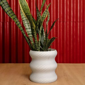 May include: A white ceramic planter with a textured surface, featuring a snake plant with green and yellow leaves. The planter is sitting on a light brown wooden surface.