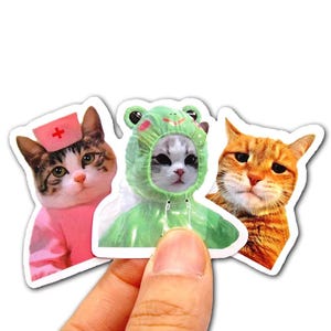 Funny Cat Meme Stickers Mystery Pack (5pcs) – Cute Waterproof Vinyl Decals for Laptop, Phone, Notebook, Scrapbook, Aesthetic & Kawaii Decor