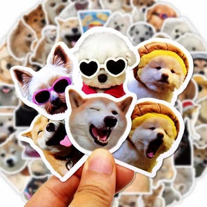 Funny Dog Meme Stickers Mystery Pack (10pcs) – Cute Waterproof Vinyl Decals for Laptop, Phone, Notebook, Scrapbook, Aesthetic & Kawaii Decor