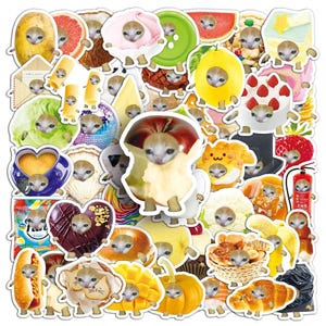 Funny Food Cat Meme Stickers Mystery Bundle (10st) – Waterdichte esthetische vinylstickers voor laptop, telefoon, koelkast, plakboek, doe-het-zelfdecoratie