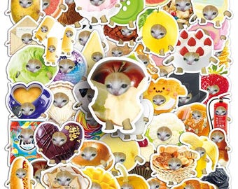 Funny Food Cat Meme Stickers: Waterproof Vinyl Decals (10pcs)