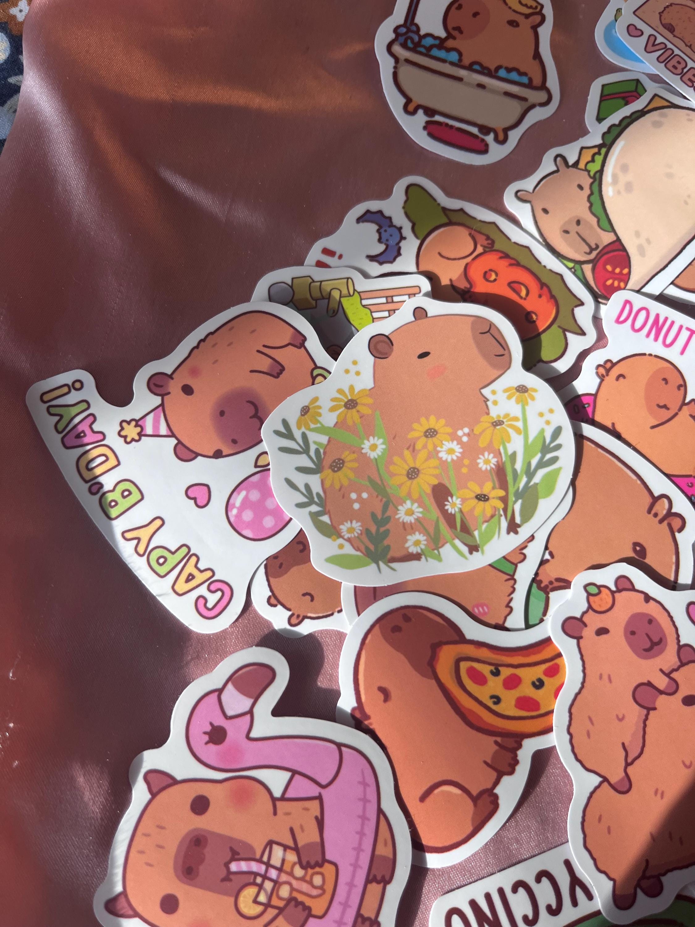 Capybara Stickers Mystery Bundle, Waterproof Vinyl Decals - Etsy