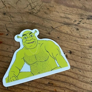Shrek Meme Stickers Mystery Bundle (10st) Grappige waterdichte vinylstickers voor laptop, telefoon, notebook, plakboek, esthetiek en nostalgie uit de jaren 2000