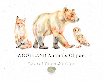 Watercolor Woodland Animals Clipart | Forest Wildlife PNG (6 Transparent)