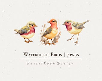 Watercolor Bird Clipart Bundle, 7 PNG Files (Digital Download)