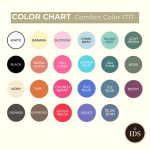 Tired Nurses Club , Nurse Week Gift, Comfort Colors Retro RN Graduation T-Shirt image 3