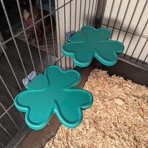 Shamrock Ledge - Cage mobility accessory