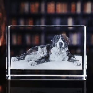 Custom 3D Crystal Photo: Personalized Keepsake for Special Moments, Pet Memories, Gifts, Anniversaries, Birthdays, Baby Showers, Valentines
