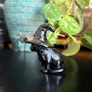 May include: A glossy black cat figurine wearing a witch's hat. The cat is in a seated position, with its tail curled. The hat has a pointed crown and a wide brim. The figurine is set against a blurred background.