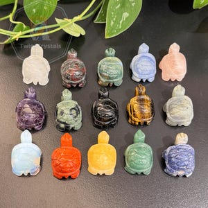 Può includere: Una collezione di 15 piccole figurine di tartarughe intagliate in diversi tipi di pietre levigate. Le tartarughe sono di diversi colori, tra cui bianco, rosso, verde, blu, viola, nero, giallo e marrone.