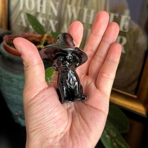 May include: A glossy black cat figurine wearing a witch hat. The cat is sitting upright with its paws in front. The hat has a wide brim. The figurine is held in a hand.