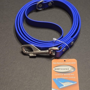 BioThane Dog Leash with Loop Handal With D-Ring