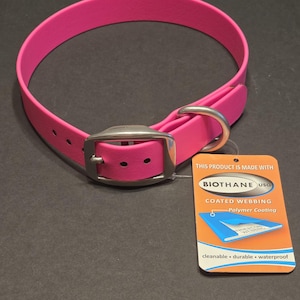 BioThane Dog collar