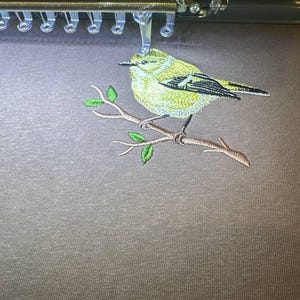Pu&ograve; includere: Ricamo di un uccello giallo e nero appollaiato su un ramo marrone con foglie verdi. L'uccello viene cucito da una macchina da ricamo su un tessuto grigio.