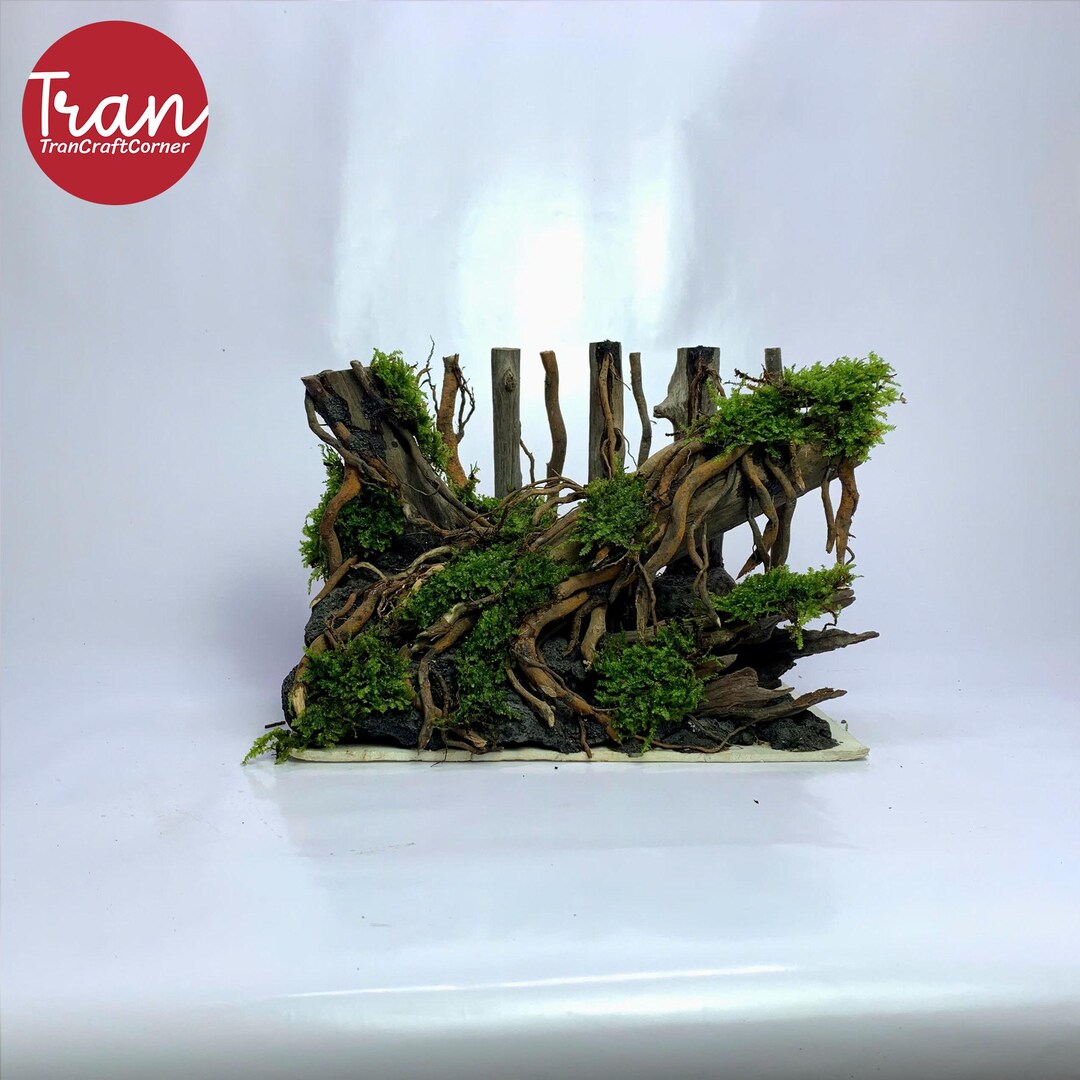 Aquarium Ideas, Aquarium Plants, Aquarium Decorations, Natural Stone ...