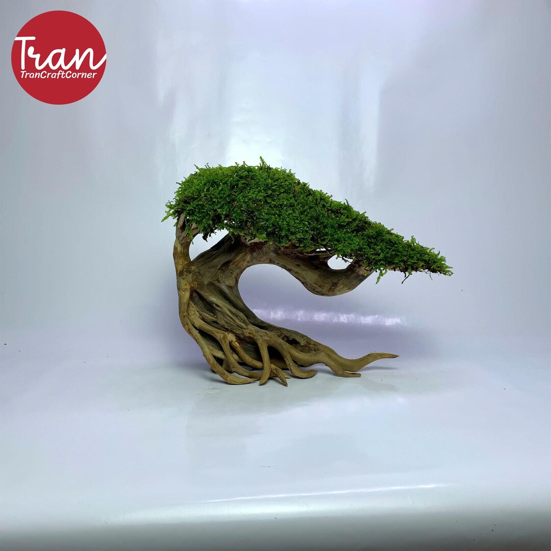 Image showcasing Aquarium Ideas, Aquarium Plants, Aquarium Decorations, Natural Stone ...