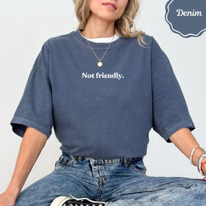 Not Friendly Shirt, Sarcastic Graphic Tee, Unfriendly Statement Top, Introvert Gift, Funny Anti Social T-Shirt, Mood Tee, Denim Color