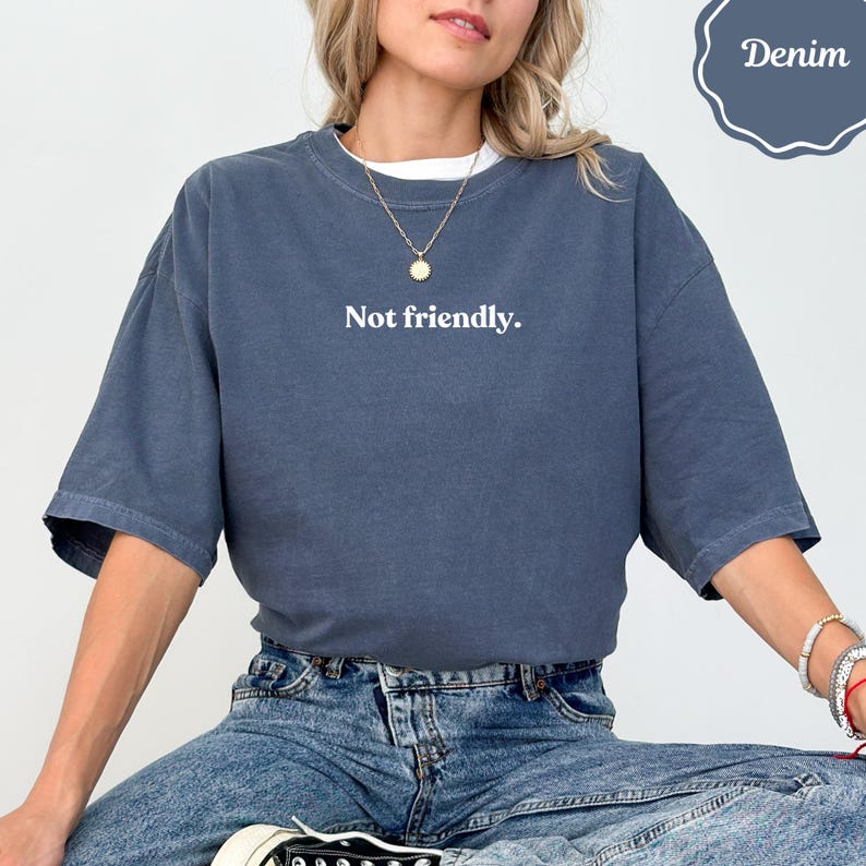 Not Friendly Shirt, Sarcastic Graphic Tee, Unfriendly Statement Top, Introvert Gift, Funny Anti Social T-Shirt, Mood Tee, Denim Color