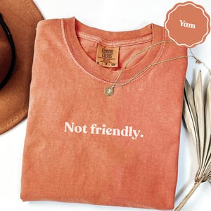 Not Friendly Quote, Sarcastic Saying, Introvert Humor, Anti Social Vibe, Funny Gift, Yam Comfort Colors Design, all products ()
Not Friendly