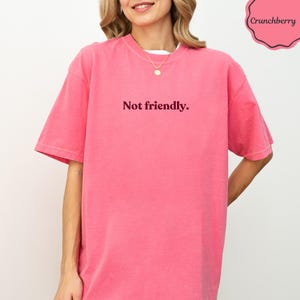 Not Friendly Print, Sarcastic Quote Design, Funny Statement Graphic, Anti Social Humor, Grumpy Mood Art, Introvert Gift Idea, Pink Aesthetic