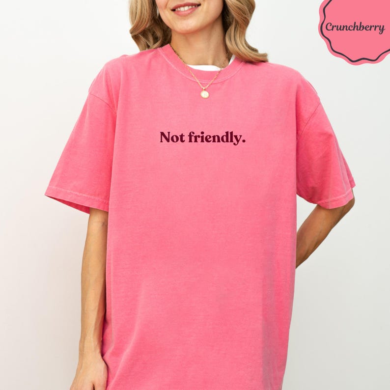 Not Friendly Print, Sarcastic Quote Design, Funny Statement Graphic, Anti Social Humor, Grumpy Mood Art, Introvert Gift Idea, Pink Aesthetic