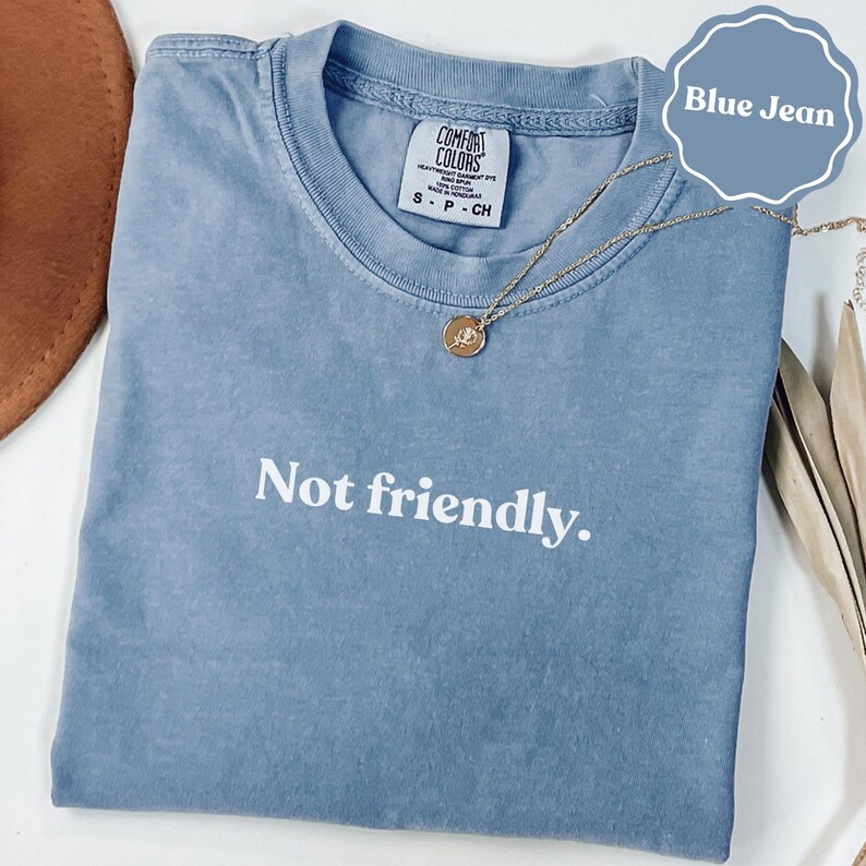 Not Friendly Shirt, Sarcastic Funny Anti Social Tee, Blue Jean Comfort Colors Graphic Statement Shirt, Introvert Mood Top, Unisex