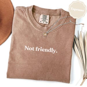 Not Friendly Shirt, Comfort Colors Espresso Tee, Sarcastic Humor Graphic, Anti Social Statement, Introvert Quote Gift, Grumpy Aesthetic