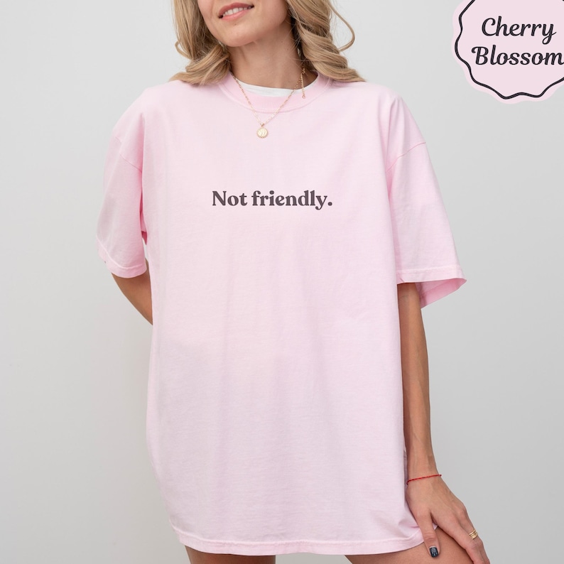 Not Friendly Shirt, Cherry Blossom Sweatshirt, Sarcastic Funny Quote Tee, Introvert Gift, Anti Social Aesthetic Pink Top
Not friendly