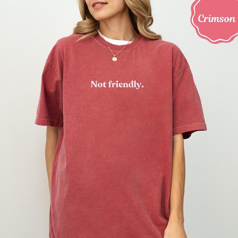 Not Friendly Shirt, Sarcastic Crimson Tee, Funny Introvert T-Shirt, Anti Social Club, Unfriendly Quote Top, Humorous Statement Apparel