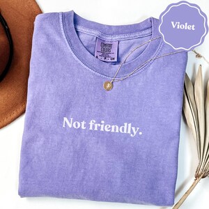 Not Friendly Shirt, Sarcastic Introvert Graphic Tee, Anti Social Quote, Funny Violet Purple Grunge Aesthetic Saying, all products ()
Not