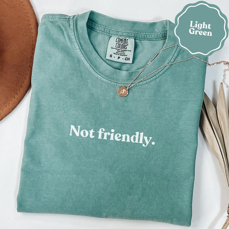 Not friendly Tee, Anti Social Club Shirt, Sarcastic Funny Light Green T-shirt, Introvert Humor Apparel, Unique Gift
Not friendly shirt, Anti