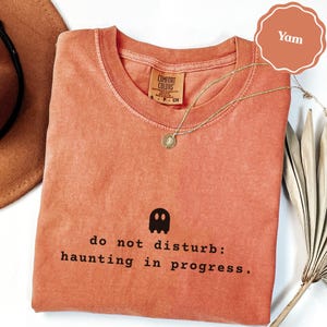 May include: A terracotta-colored crew neck t-shirt featuring a small black ghost icon and the printed text "do not disturb: haunting in progress." The shirt has a ribbed collar and a Comfort Colors brand label visible at the inner neckline.