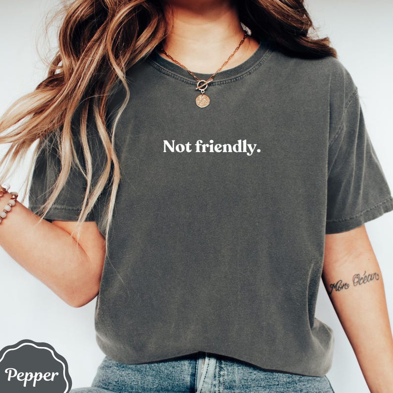 Not Friendly Shirt, Sarcastic Tee, Funny Introvert Apparel, Antisocial Club Top, Humorous Graphic Tee, Grumpy Gift, Statement T-shirt