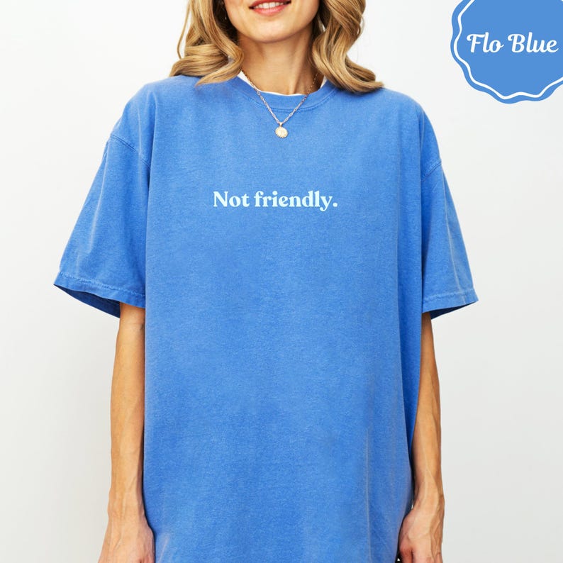 Not friendly. Flo Blue T-Shirt, Sarcastic Humor Graphic Tee, Introvert Anti Social Shirt, Funny Grumpy Statement Gift