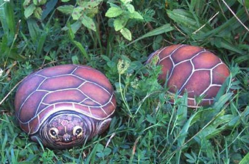 How to paint a Tortoise on a rock Rock Painting Tutorial Etsy