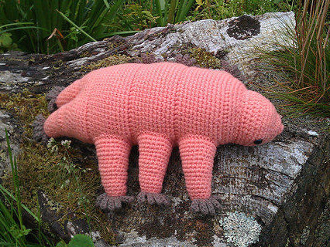 Tardigrade water Bear Crochet Pattern PDF Etsy