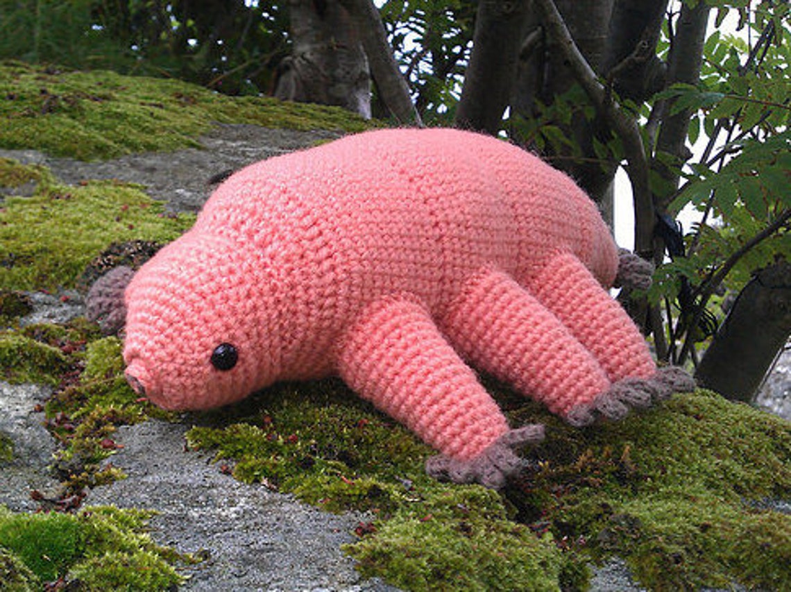 Tardigrade water Bear Crochet Pattern PDF Etsy Canada