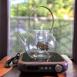 Electric Stove & Glass Teapot Set - 1000W Multi-Function, US Plug