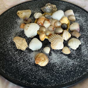 Może przedstawiać: Kolekcja muszli o różnych kształtach, rozmiarach i kolorach, w tym białych, beżowych i brązowych, ułożonych na czarnym talerzu. Talerz jest posypany drobną, białą substancją, prawdopodobnie piaskiem lub solą, tworząc plażową estetykę.