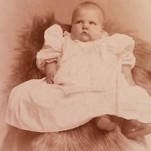 Victorian CDV of Chubby Baby on Fur Covered Chair, Victorian Cabinet Card of Baby Hidden Mother image 5