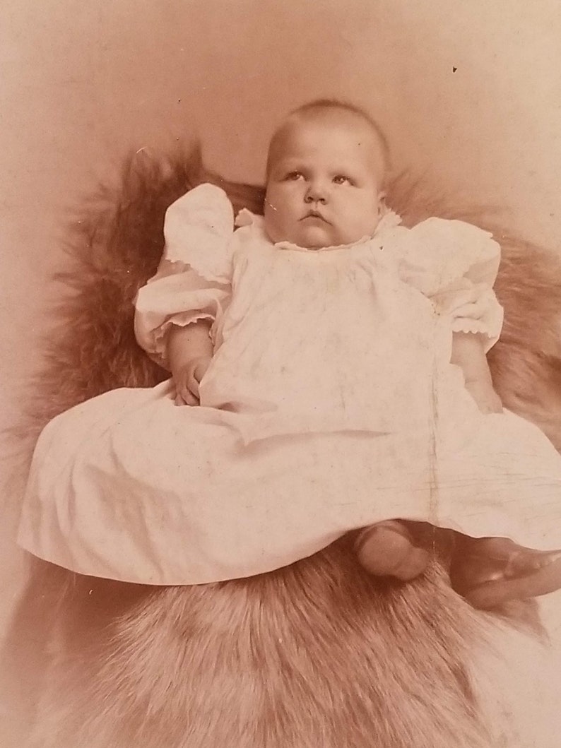 Victorian CDV of Chubby Baby on Fur Covered Chair, Victorian Cabinet Card of Baby Hidden Mother image 5