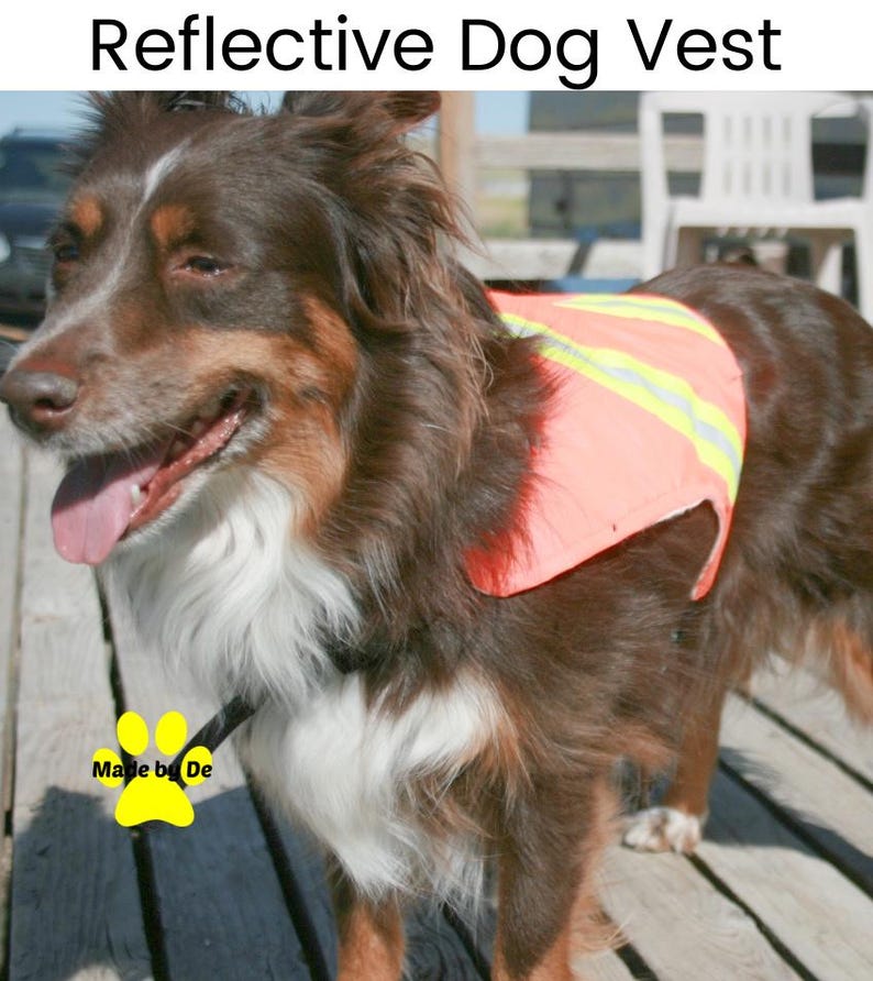 High visibility safety vest on brown dog