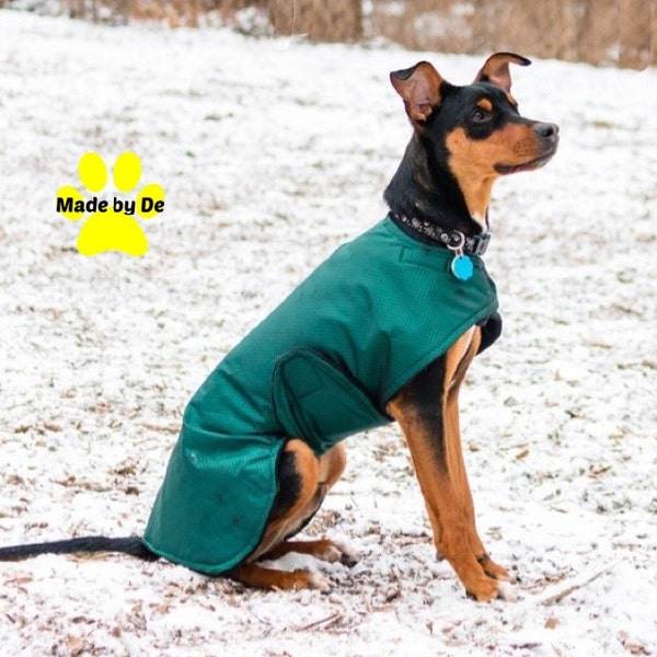 Winter Dog Coat, Extreme winter dog coat, custom dog coat, tough dog coat, warm dog jacket, adjustable dog coat, waterproof coat for dogs