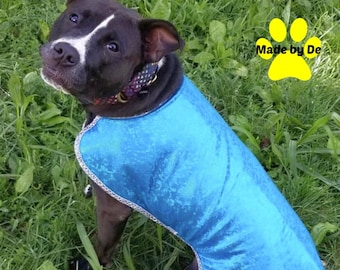 Dog Cool Coat and Collar, Show Dog Cool Coat, Showdog Chiller Cool Coat and Collar, custom dog cool coat, show dog cool coat with bling